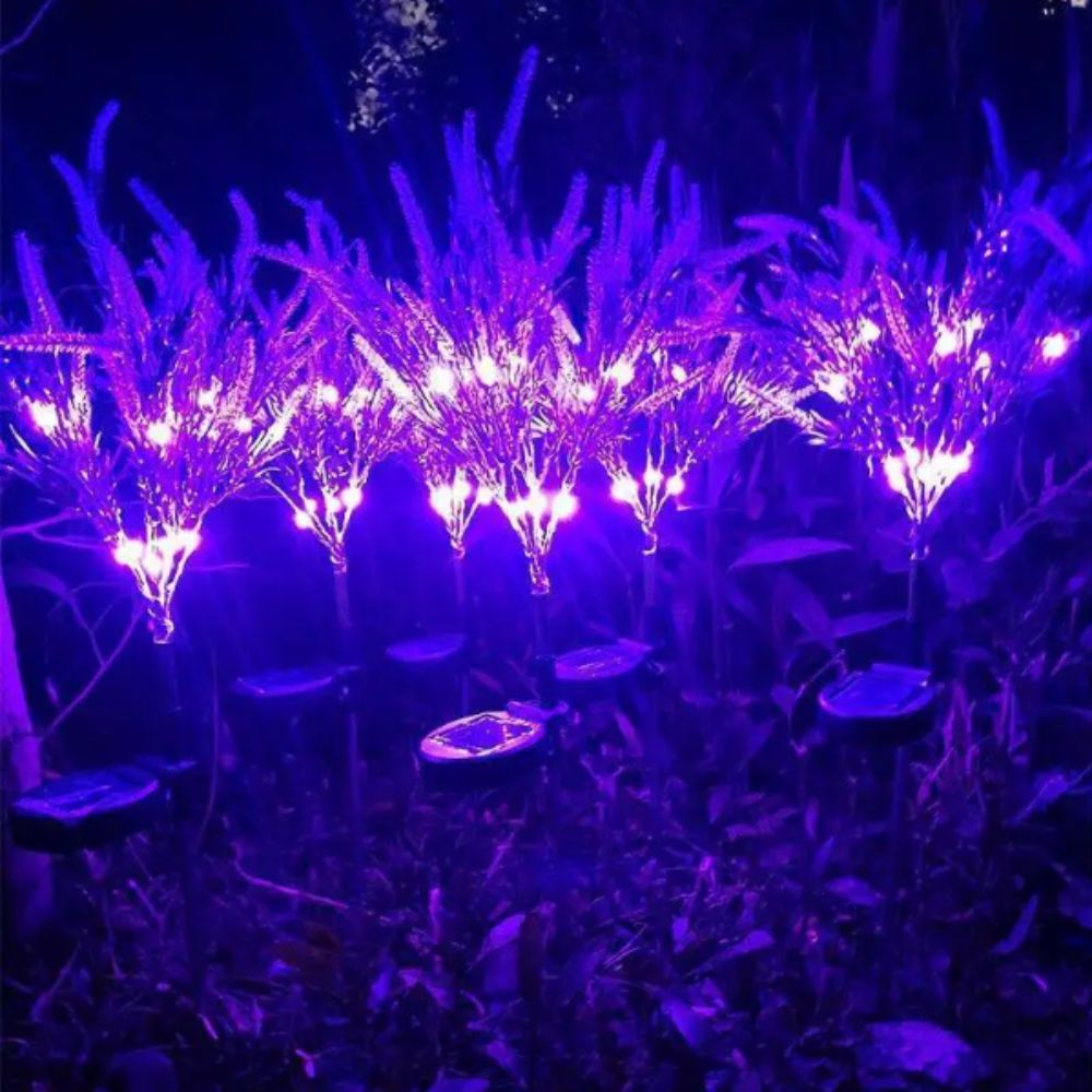 Fioletowa LED Solarna Lampka w – Outdoor Lighting Unit recenzja i cena